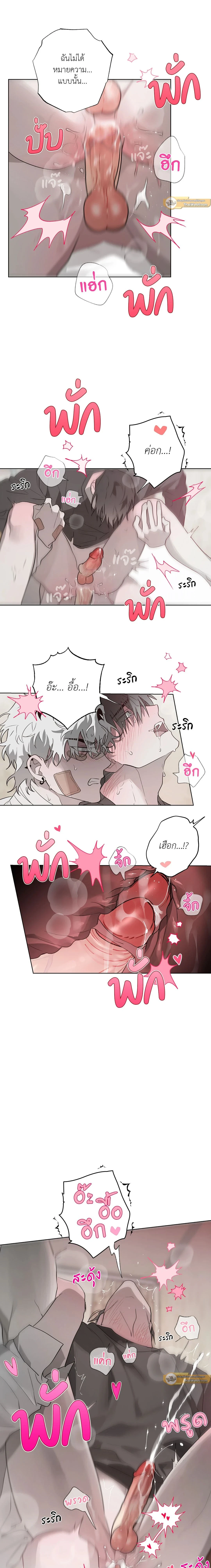 ภาพที่ 4