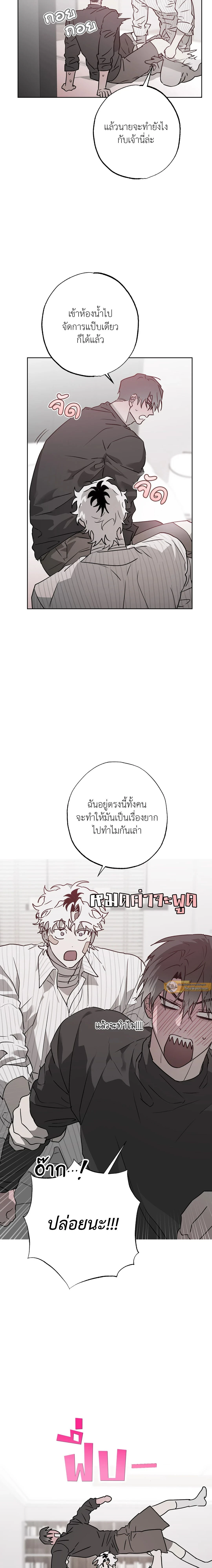 ภาพที่ 2