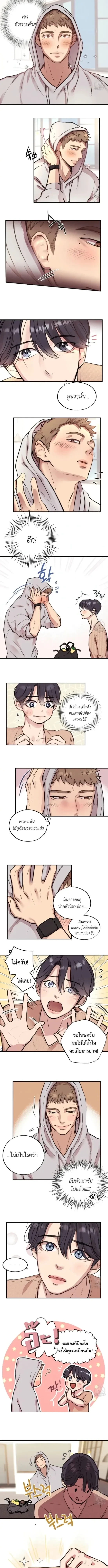 ภาพที่ 4