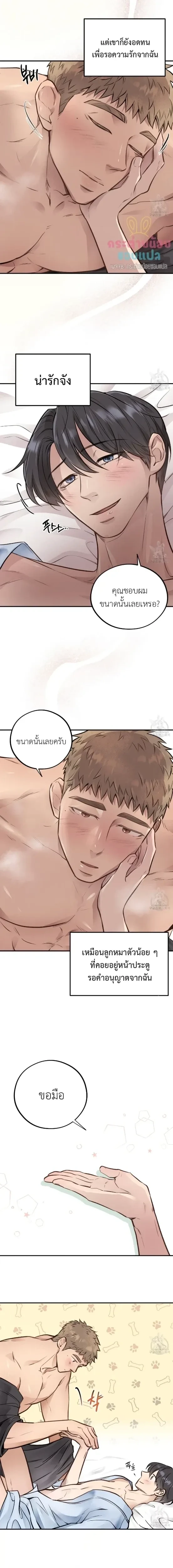 ภาพที่ 3
