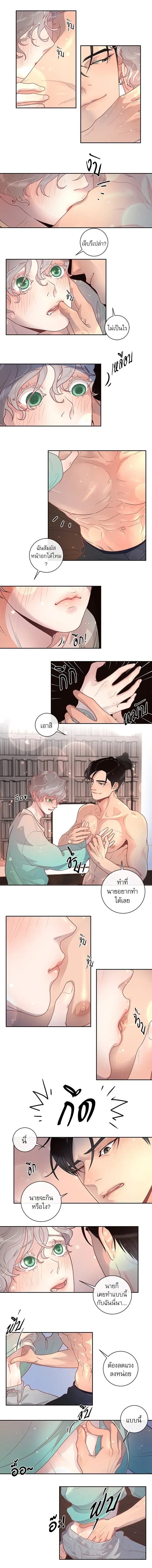 ภาพที่ 3