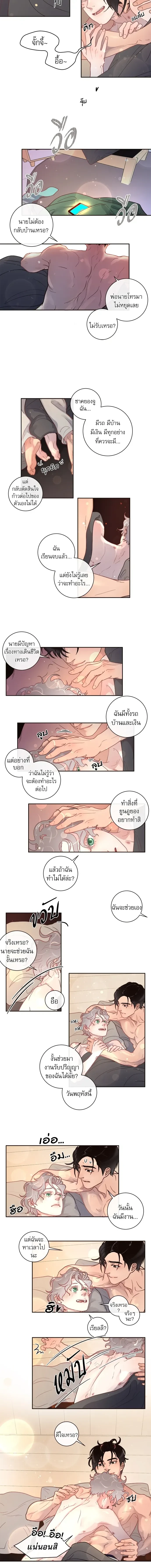 ภาพที่ 3
