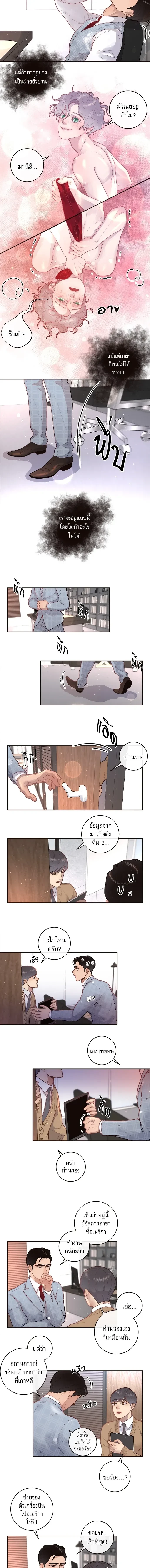 ภาพที่ 3