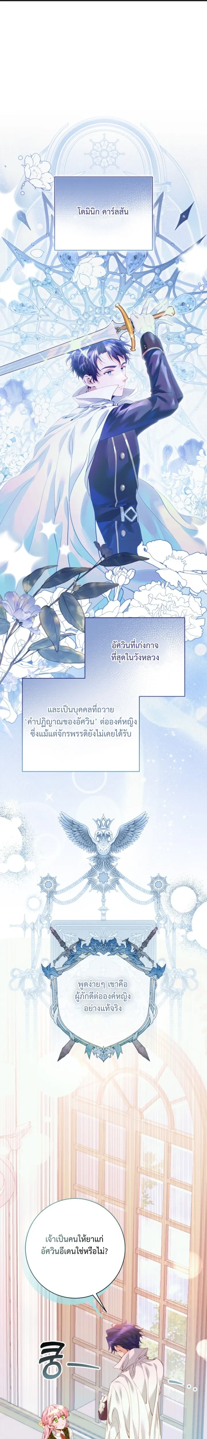 ภาพที่ 1