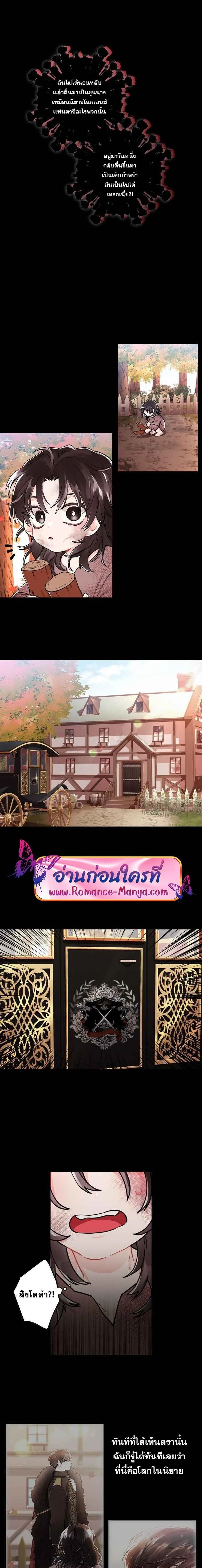 ภาพที่ 3