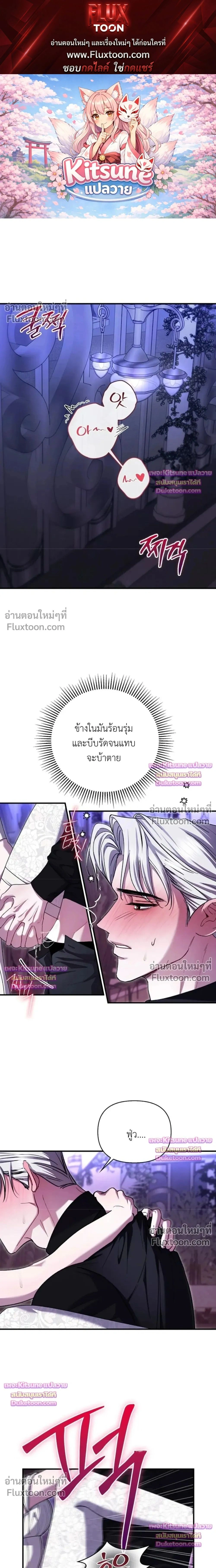 ภาพที่ 1