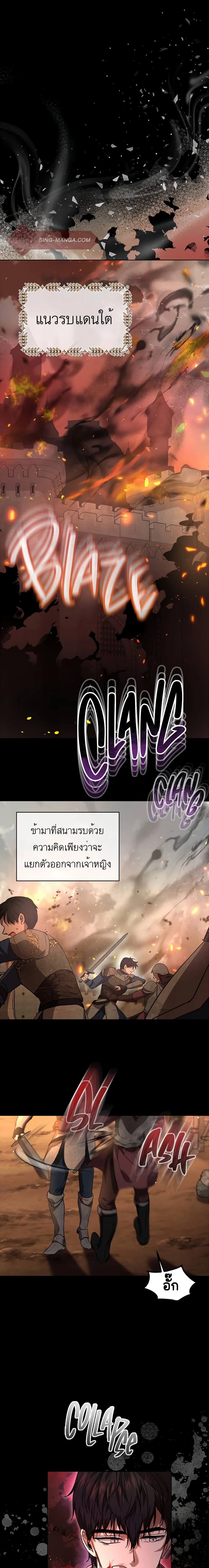 ภาพที่ 1