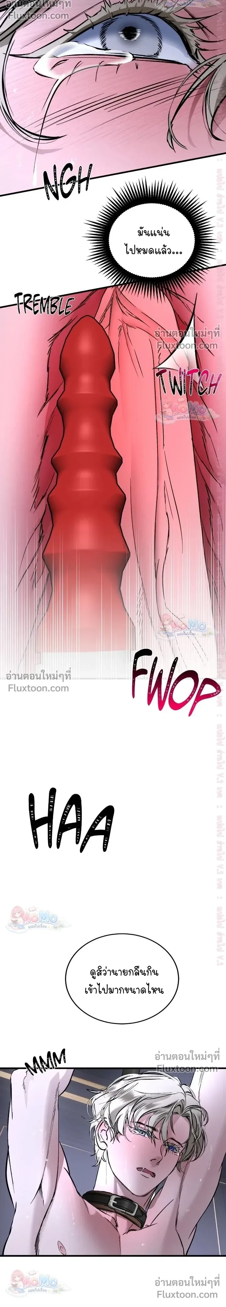 ภาพที่ 4