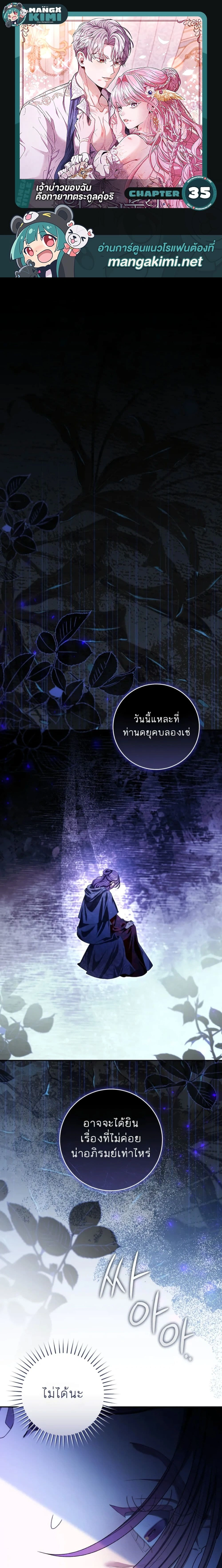 ภาพที่ 1
