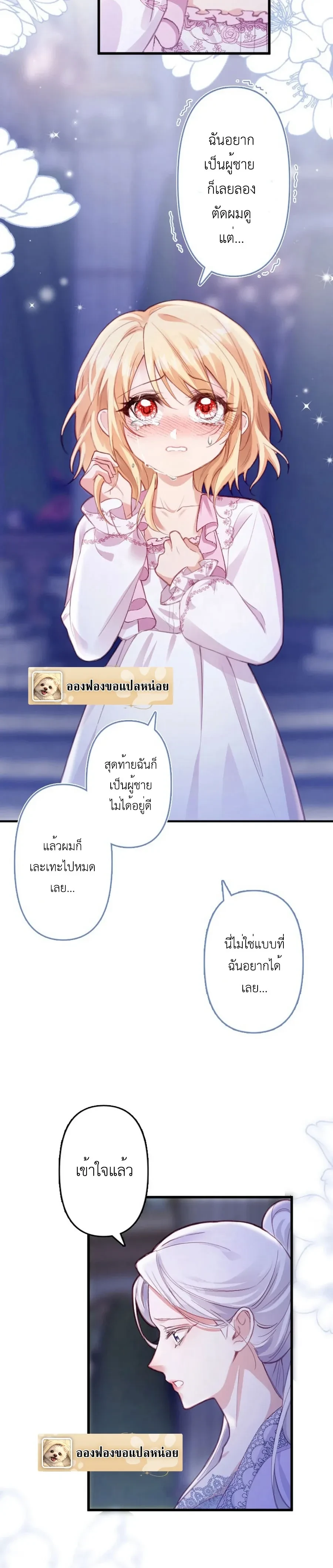 ภาพที่ 3