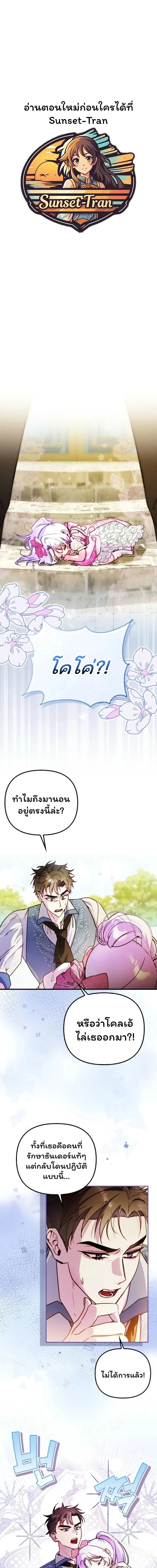 ภาพที่ 1