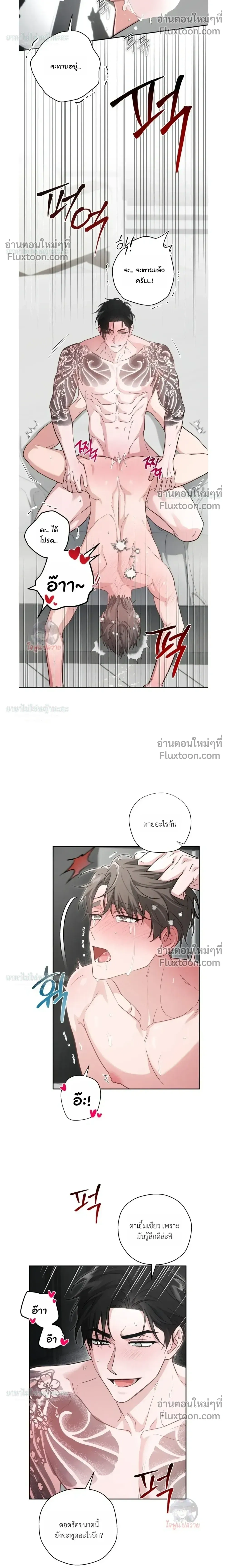 ภาพที่ 4