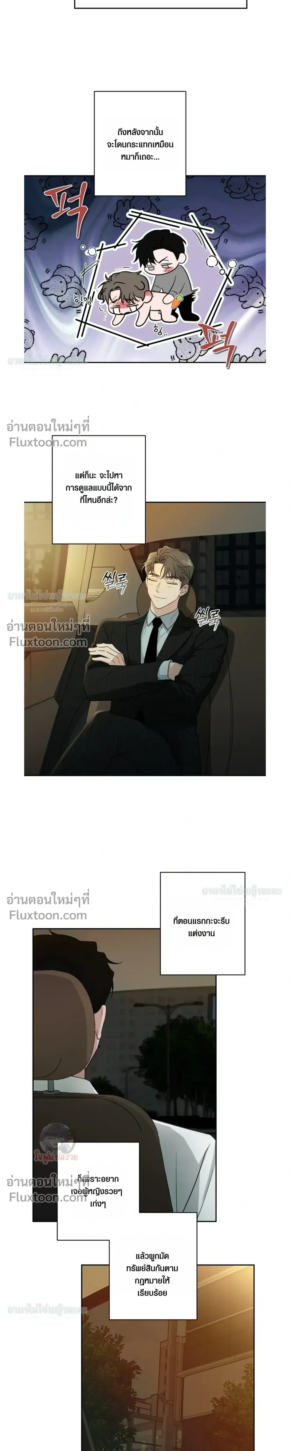 ภาพที่ 3