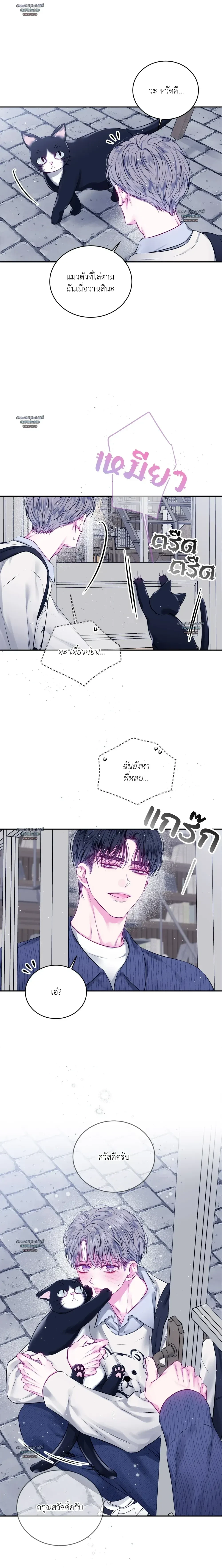 ภาพที่ 3