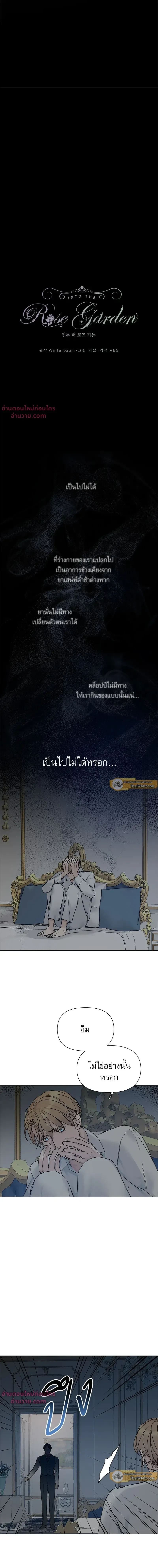ภาพที่ 2