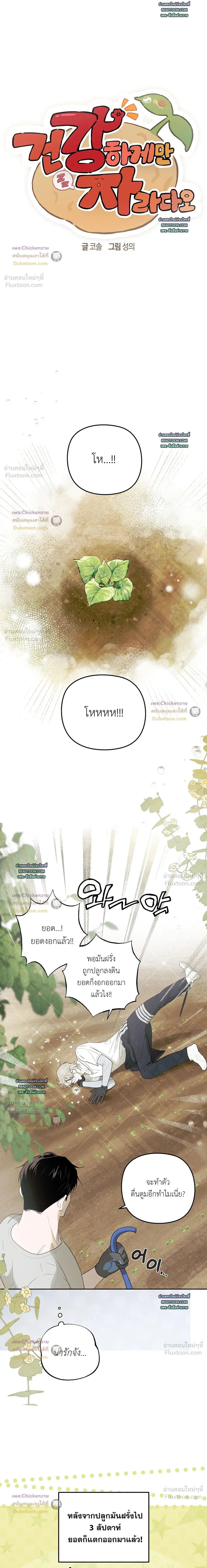 ภาพที่ 3