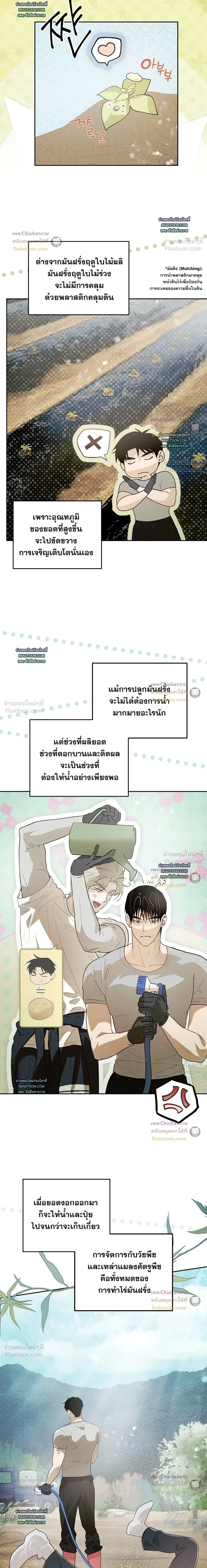 ภาพที่ 4