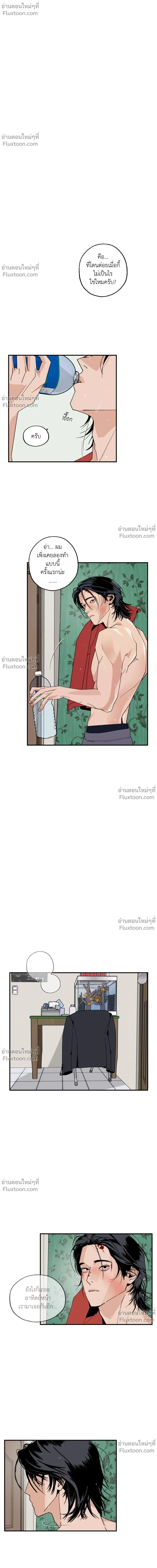 ภาพที่ 4