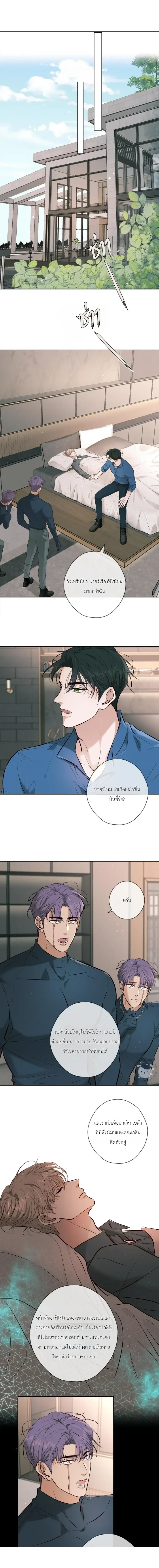 ภาพที่ 3