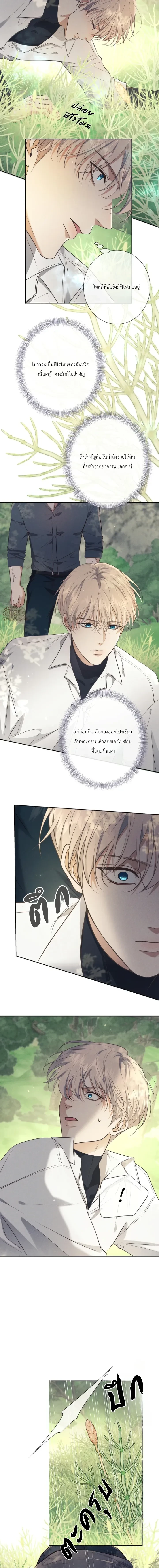 ภาพที่ 4