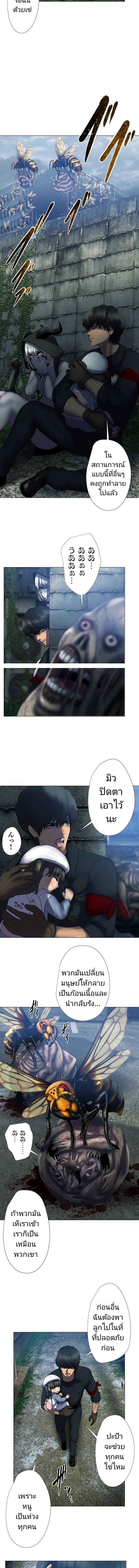 ภาพที่ 3