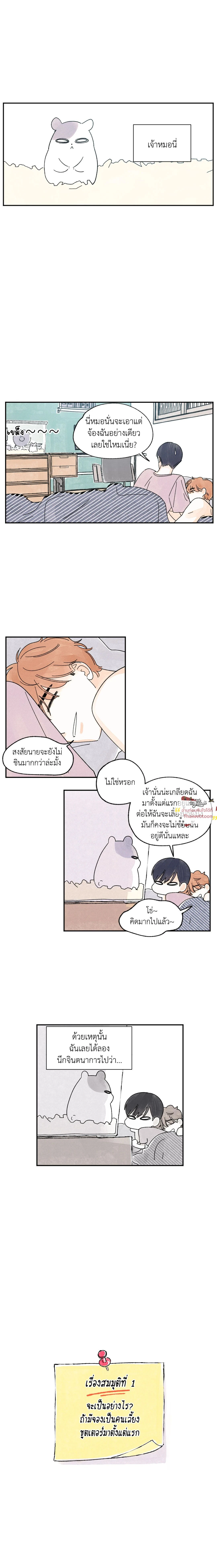ภาพที่ 3