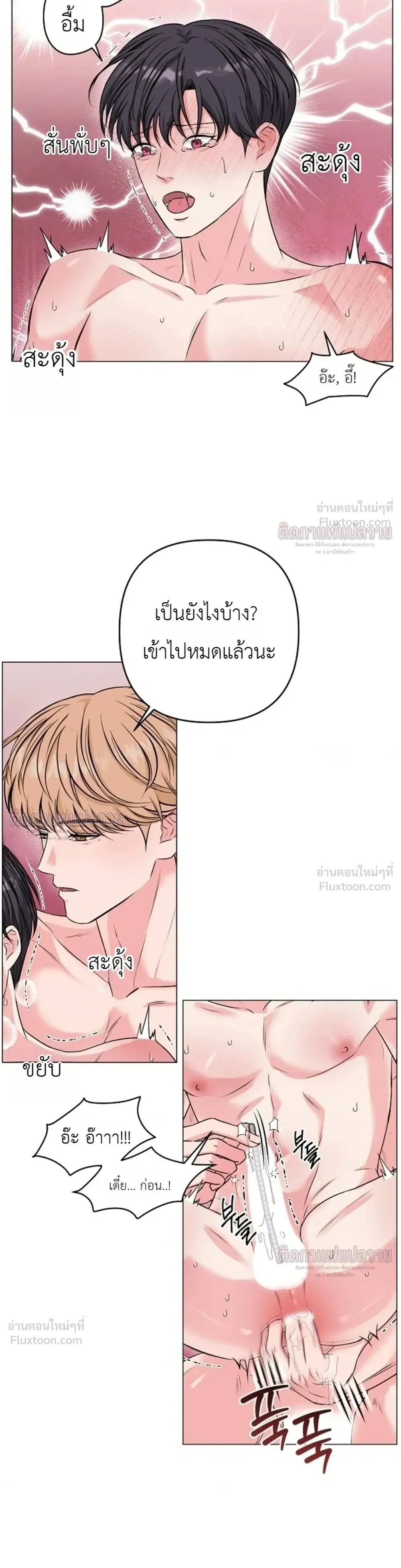 ภาพที่ 3
