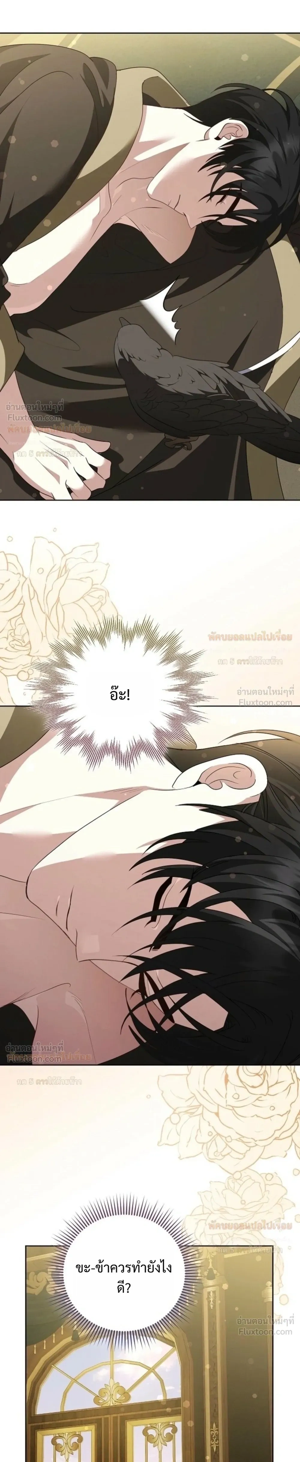 ภาพที่ 3