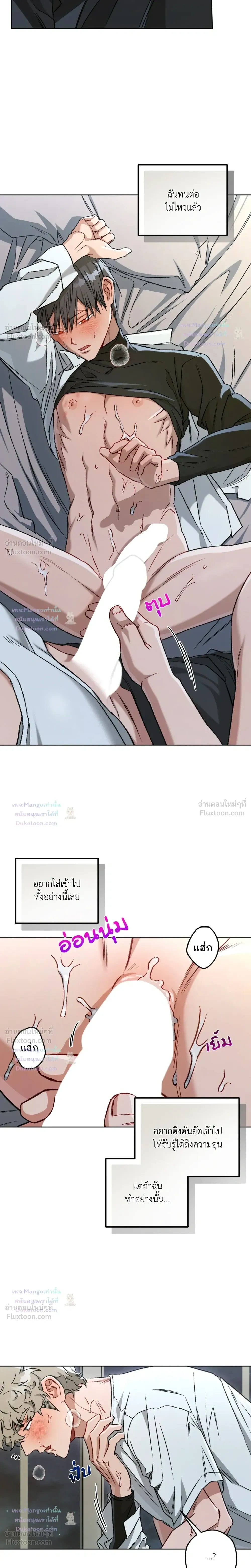 ภาพที่ 4