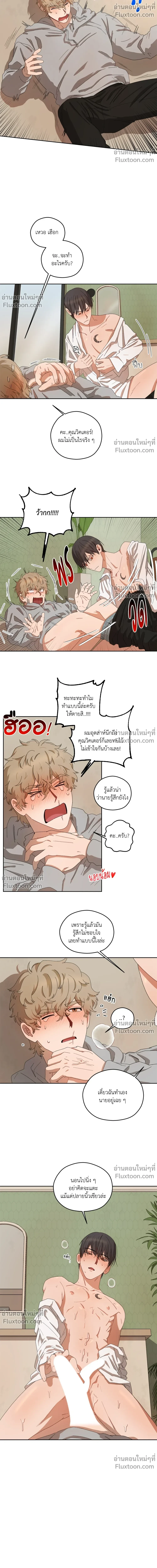 ภาพที่ 4