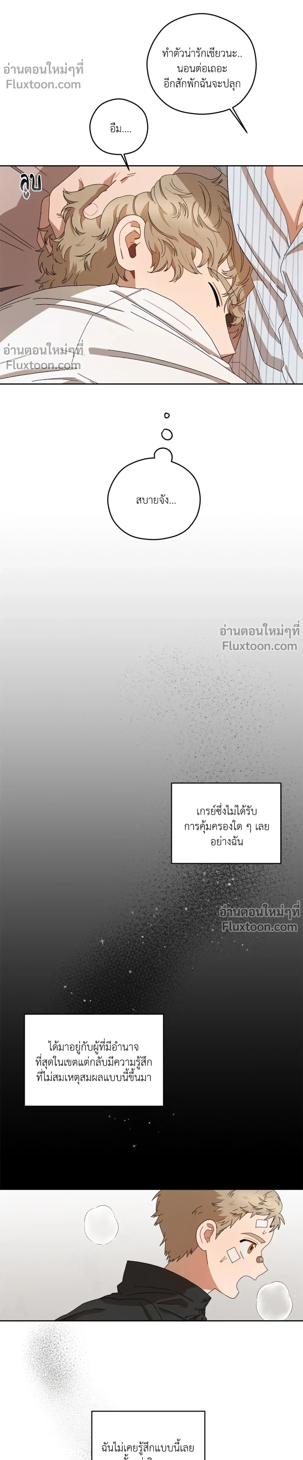 ภาพที่ 3