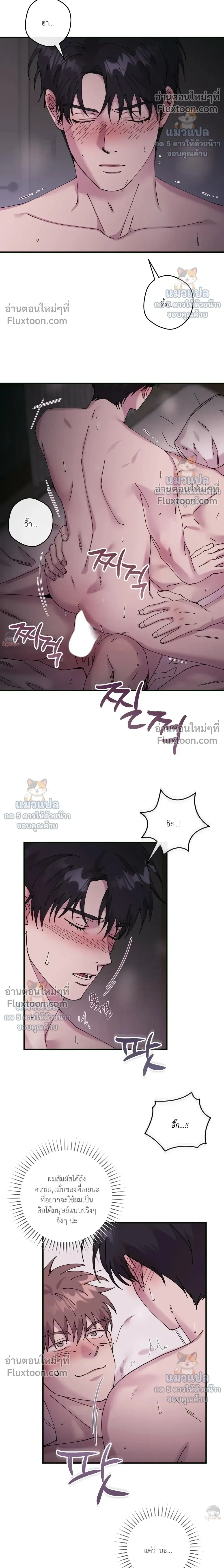 ภาพที่ 4