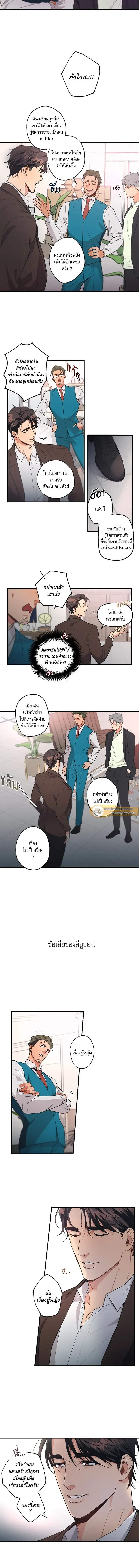 ภาพที่ 4