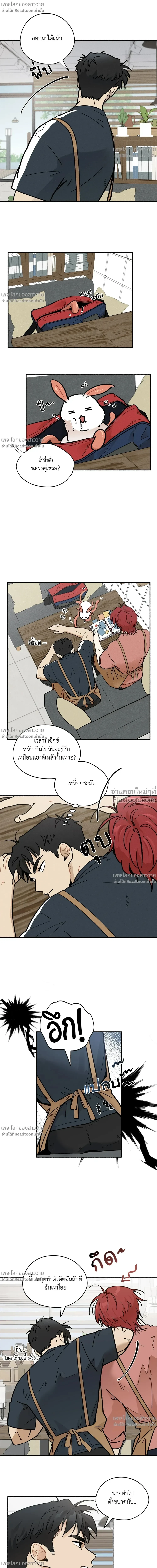 ภาพที่ 4