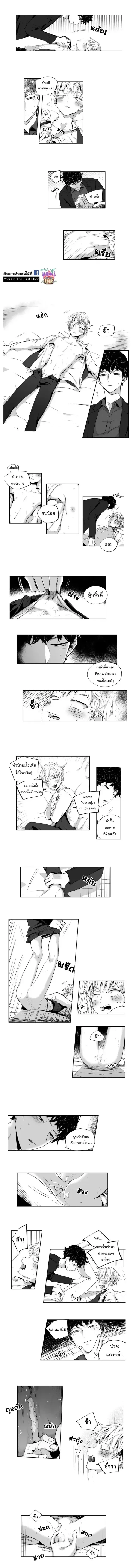 ภาพที่ 3