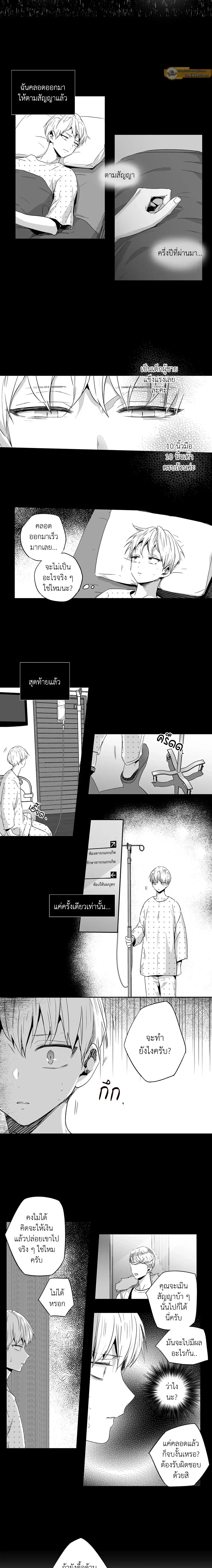 ภาพที่ 3