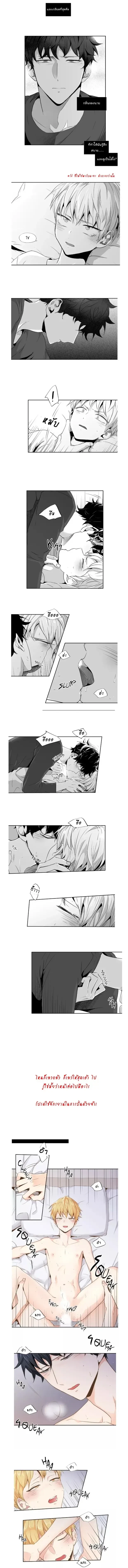 ภาพที่ 3