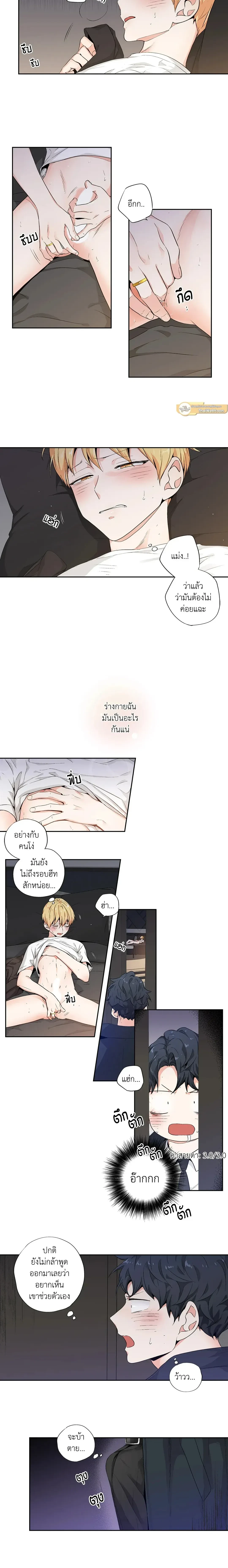 ภาพที่ 3