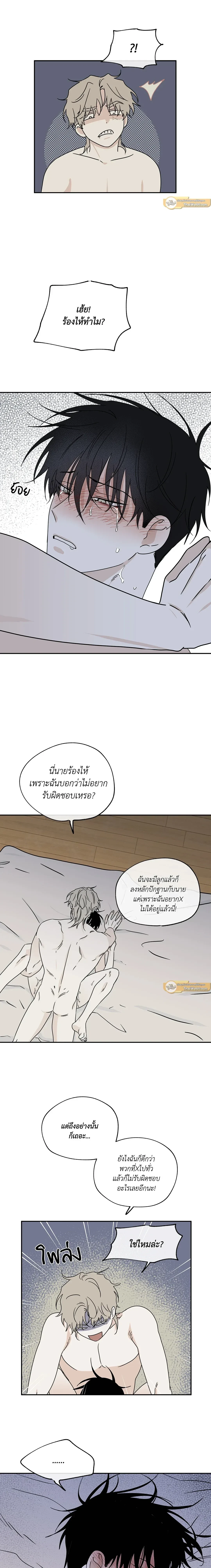 ภาพที่ 4