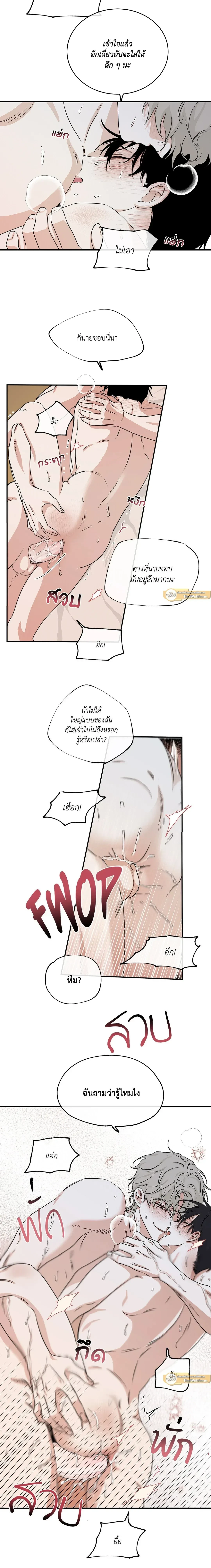 ภาพที่ 3