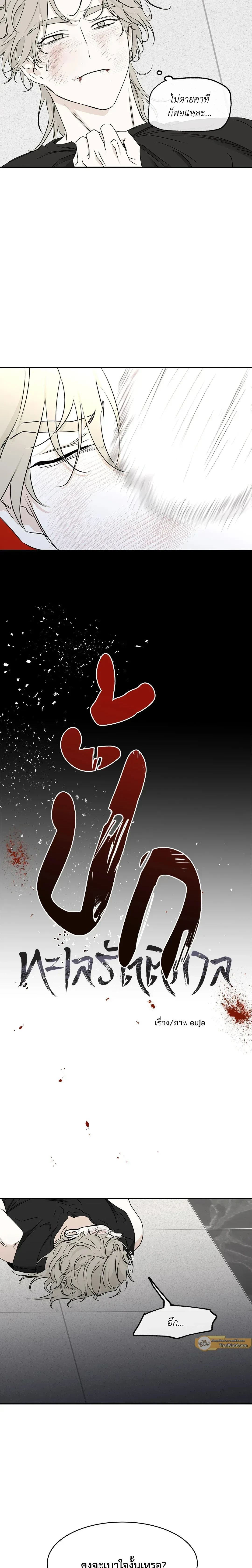 ภาพที่ 4