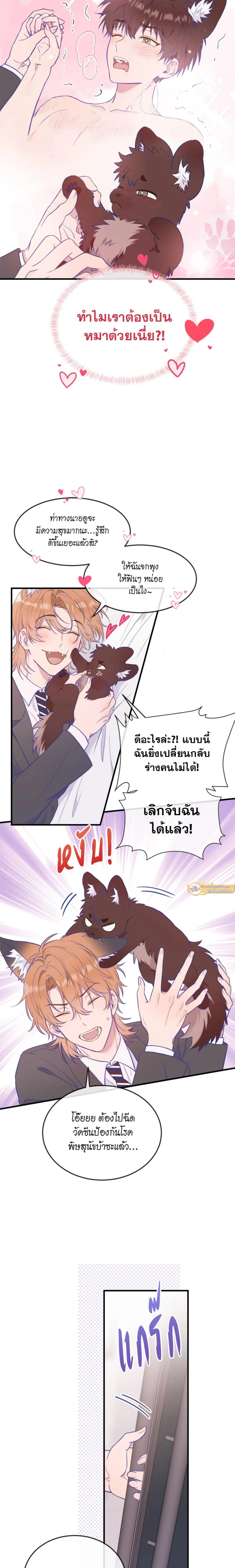 ภาพที่ 3