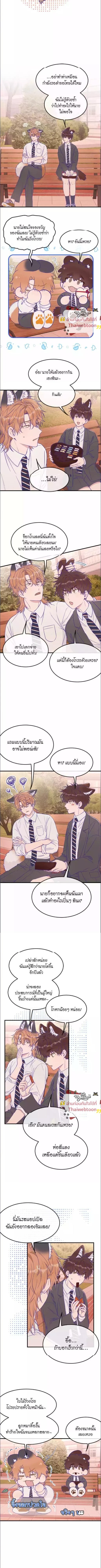 ภาพที่ 4