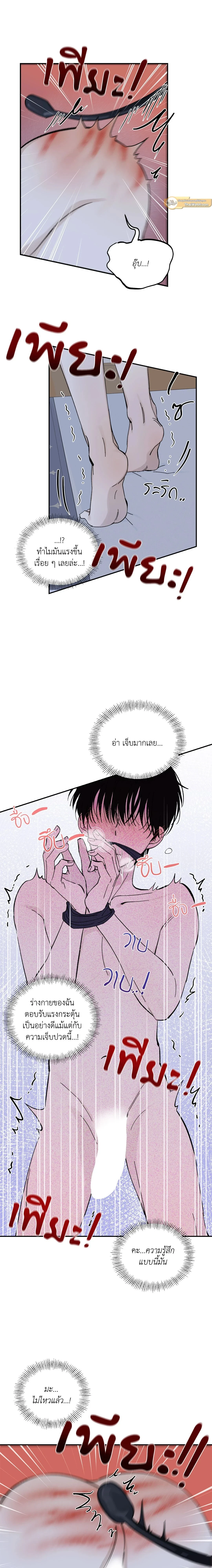 ภาพที่ 4