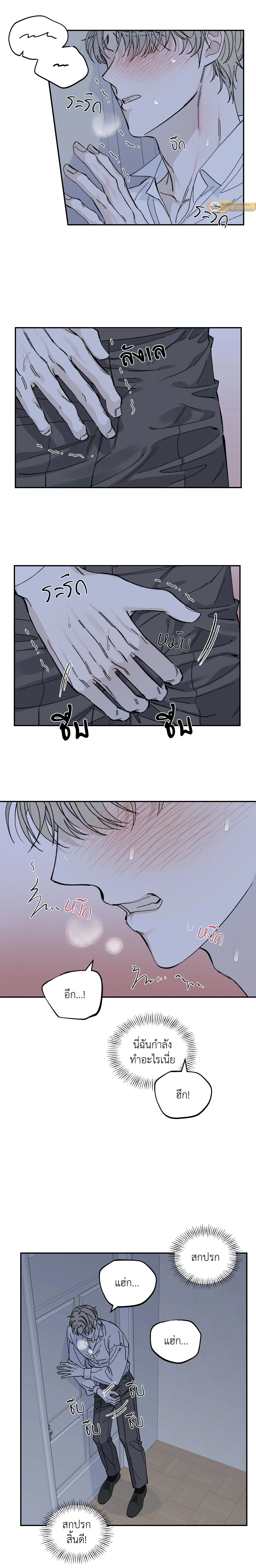 ภาพที่ 4