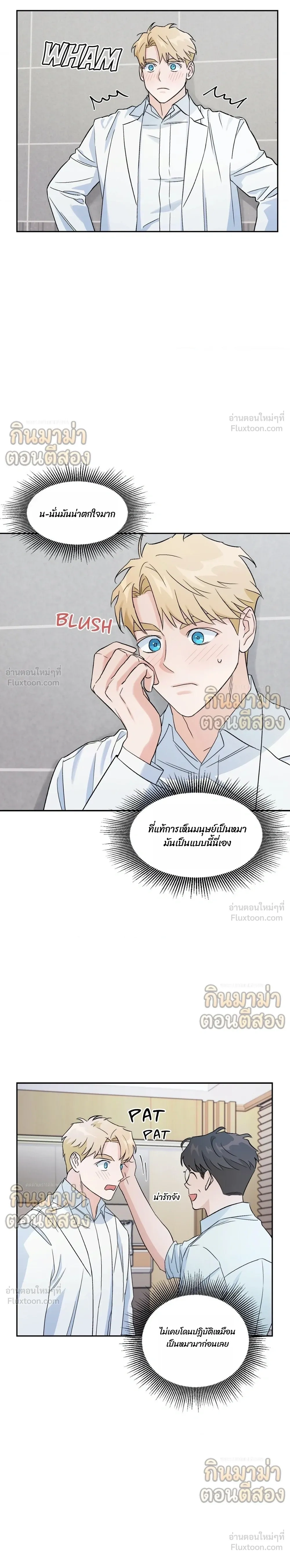 ภาพที่ 4