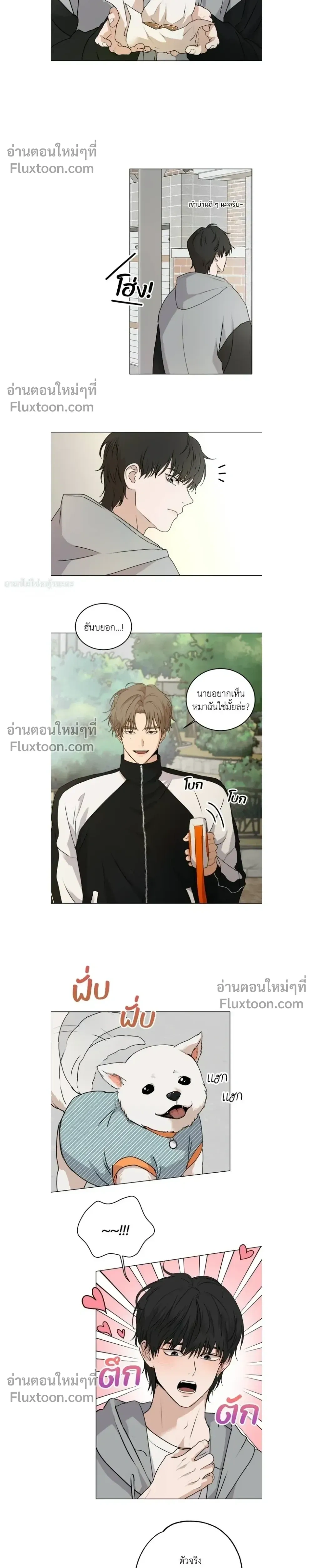 ภาพที่ 4