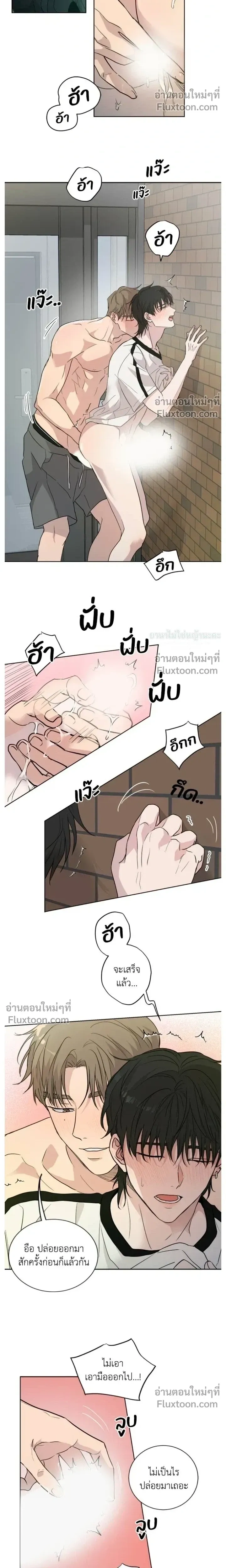 ภาพที่ 4