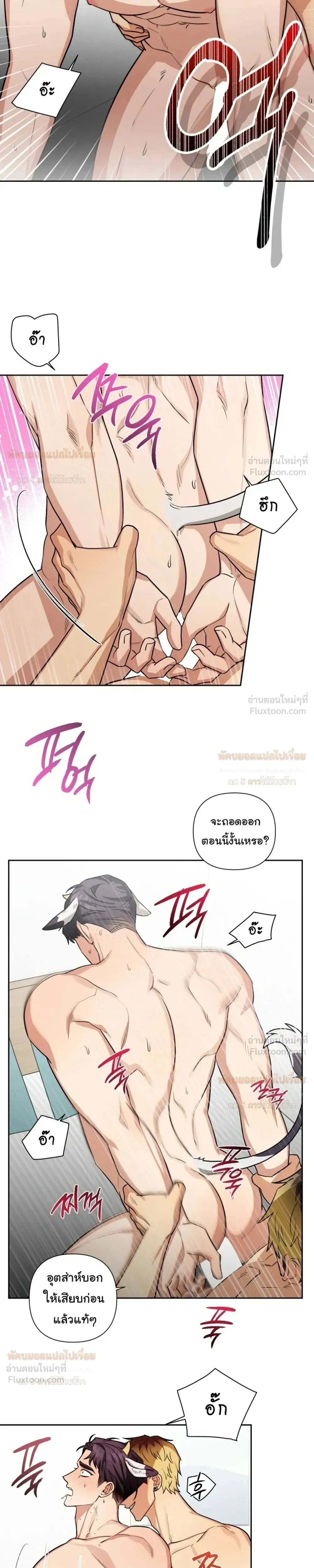 ภาพที่ 4
