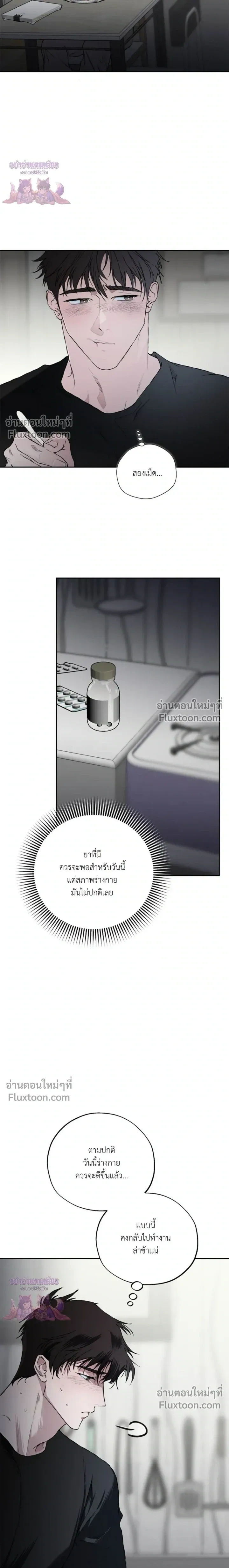 ภาพที่ 3